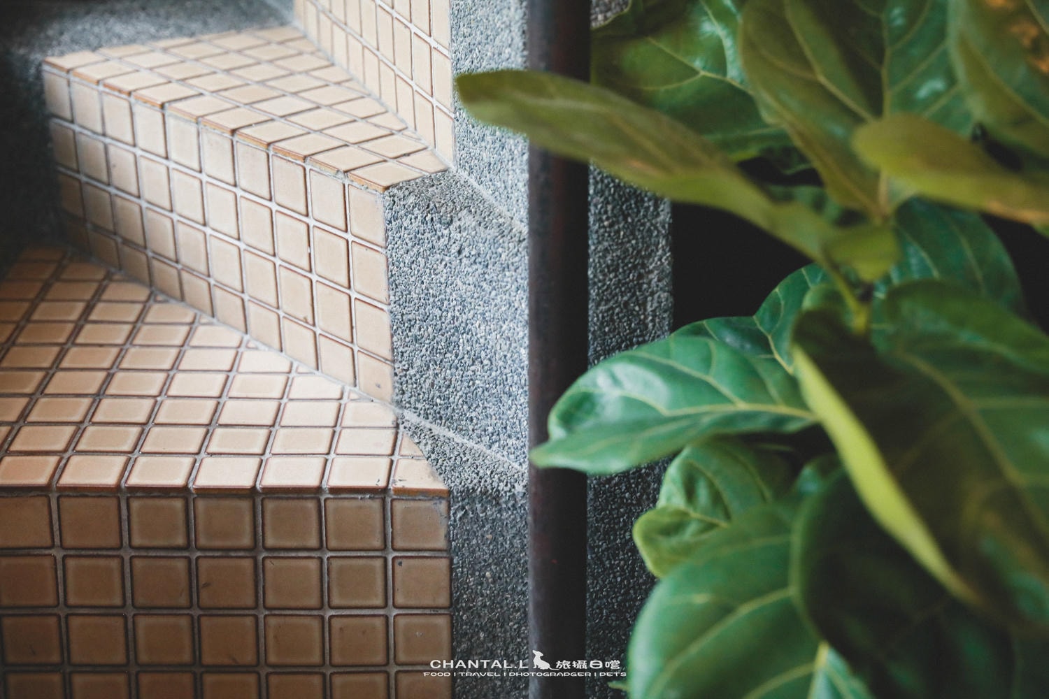 【中西區/咖啡店】排隊也要等的老宅喫茶店-島鹿喫茶