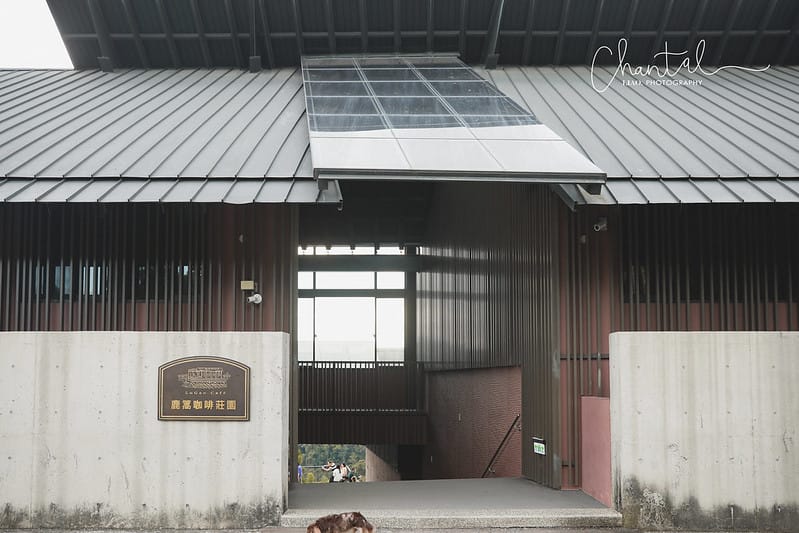 【魚池/咖啡店】群山包圍、俯覽茶園的網紅咖啡店-鹿蒿咖啡莊園 - 第16張圖 1J6A3908拷貝-2 拷貝
