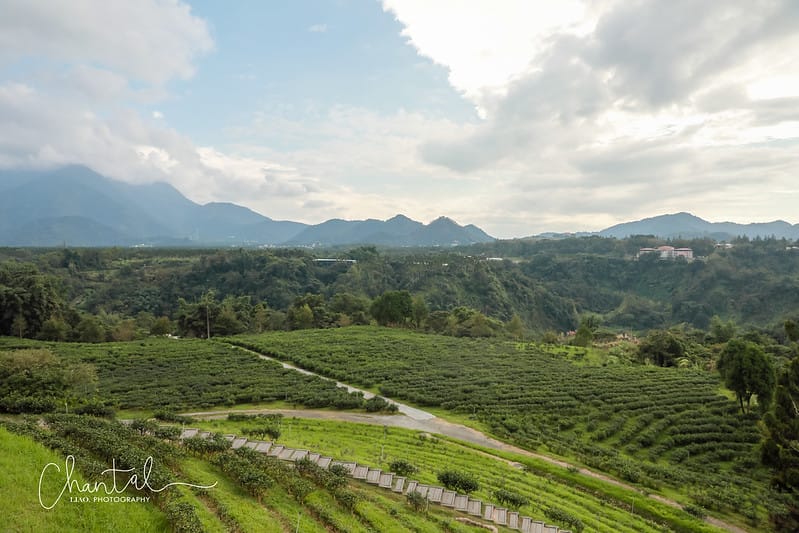 【魚池/咖啡店】群山包圍、俯覽茶園的網紅咖啡店-鹿蒿咖啡莊園 - 第21張圖 1J6A3933拷貝-2 拷貝
