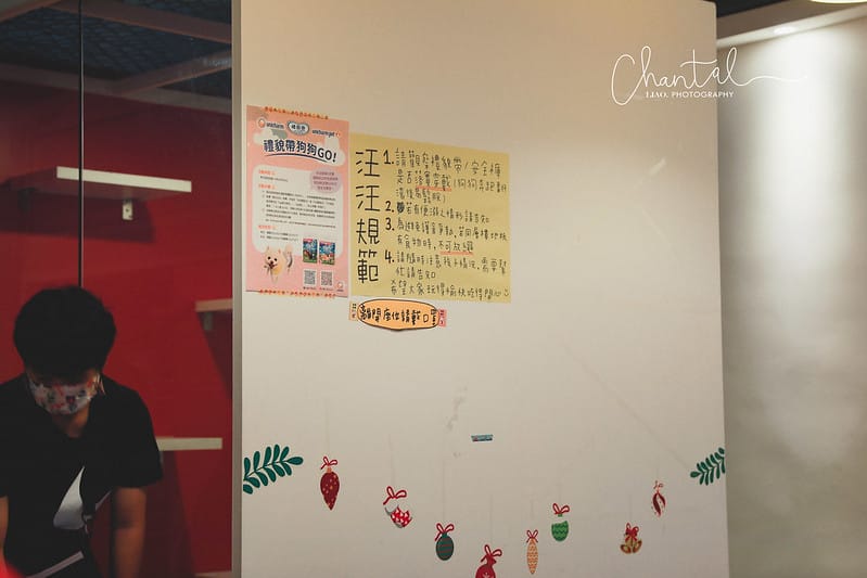 【信義區/永春站】簡單分享一下阿公的汪喵厝托托第一次的腸腸聖誕聚會 ️ - 第12張圖 1J6A2273-2 拷貝