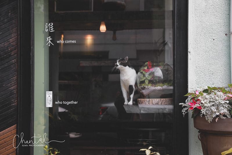 1J6A2831-2 拷貝