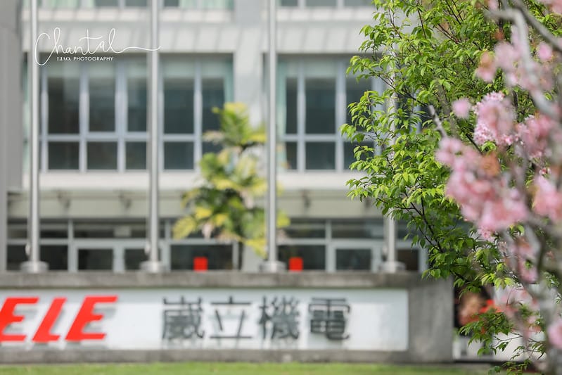 1J6A9372-2拷貝 拷貝