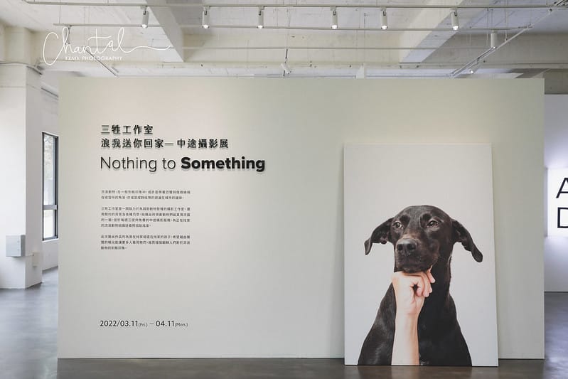 【桃園市/展覽】帶著寵物去看展,浪我送你回家-中途攝影展 (簡單展覽介紹照片分享) - 第8張圖 1J6A1844-2 拷貝