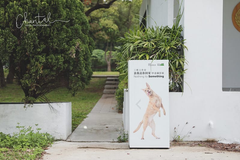 【桃園市/展覽】帶著寵物去看展,浪我送你回家-中途攝影展 (簡單展覽介紹照片分享) - 第3張圖 1J6A1829-2 拷貝