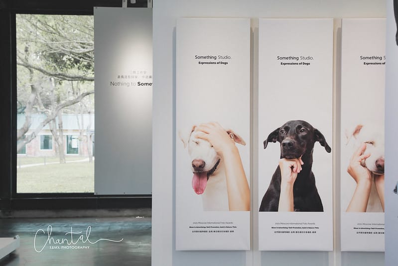 【桃園市/展覽】帶著寵物去看展,浪我送你回家-中途攝影展 (簡單展覽介紹照片分享) - 第9張圖 1J6A1885-2 拷貝