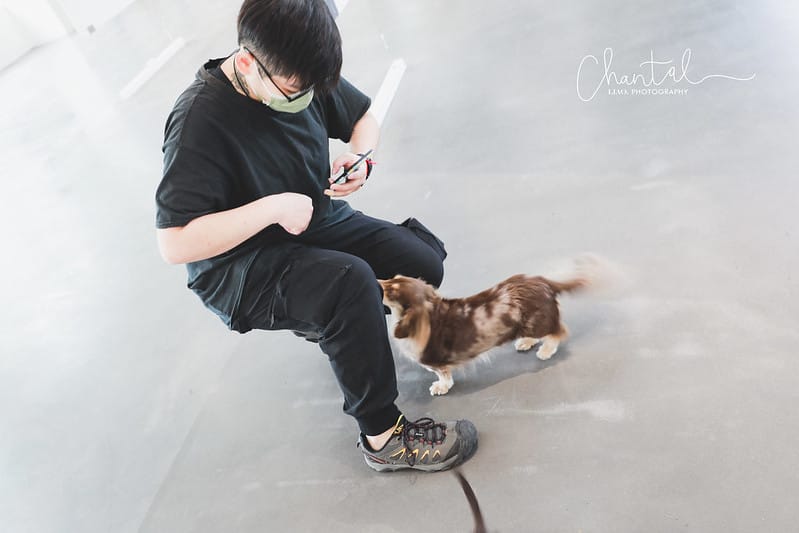 【桃園市/展覽】帶著寵物去看展,浪我送你回家-中途攝影展 (簡單展覽介紹照片分享) - 第7張圖 1J6A1851-2 拷貝