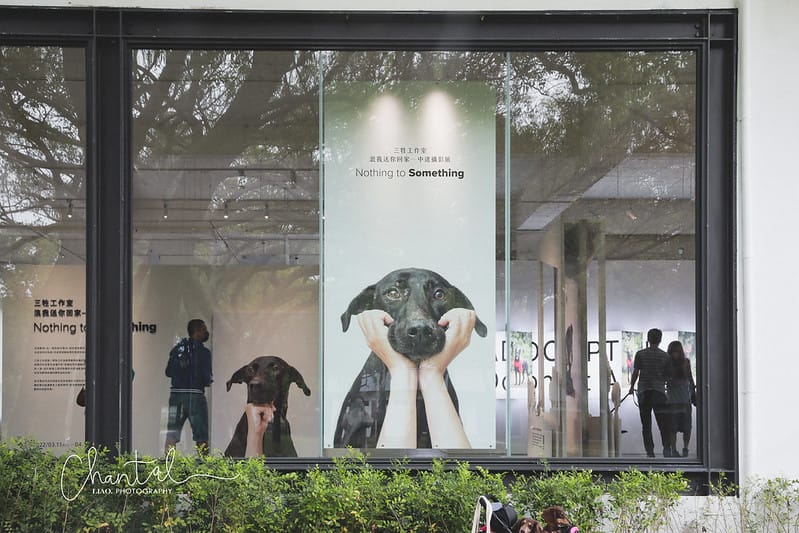 【桃園市/展覽】帶著寵物去看展,浪我送你回家-中途攝影展 (簡單展覽介紹照片分享) - 第5張圖 1J6A2055-2 拷貝