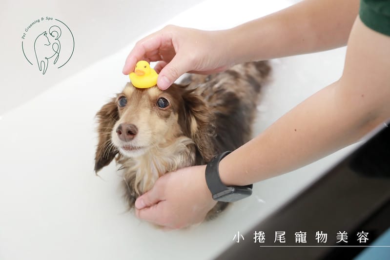 封面2