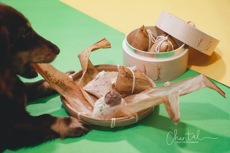托托開箱醬妹狗生的第一次海陸豪華饗宴-汪事如意其林粽饗宴禮盒(廠商邀約) - 第23張圖 _J6A2657-2 拷貝
