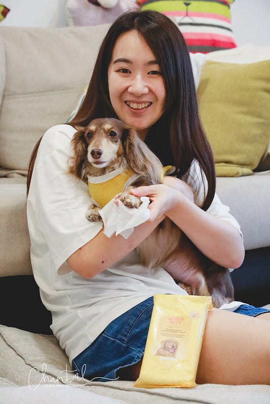 托托開箱 NATURE’s best for your pets- BURT’S BEES 蜜淨賦活再生修復乳、洋甘菊淚痕消除液、蜂蜜萬用濕紙巾 (廠商邀約) - 第14張圖 _J6A4163-2 拷貝