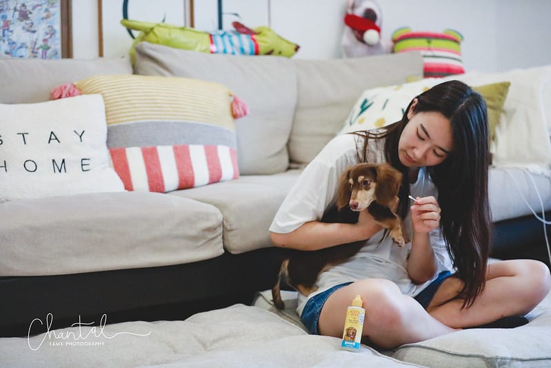 托托開箱 NATURE’s best for your pets- BURT’S BEES 蜜淨賦活再生修復乳、洋甘菊淚痕消除液、蜂蜜萬用濕紙巾 (廠商邀約) - 第11張圖 _J6A3980-2 拷貝