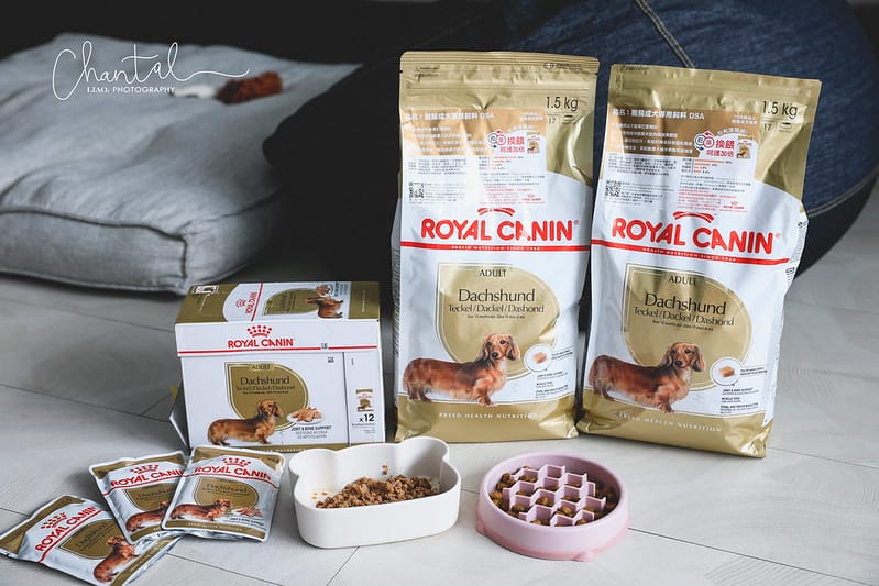 托托開箱專為品種犬打造的法國皇家ROYAL CANIN品種飼料,臘腸犬專用濕糧、臘腸犬專用乾糧飼料推薦 (廠商邀約) - 第2張圖 _J6A6556-2 拷貝