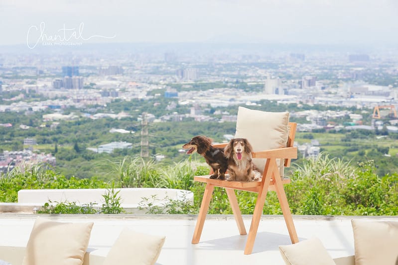 【龍潭/美食】俯覽桃園市景的玻璃餐廳-Summer Land夏夕夏景 - 第21張圖 _J6A9403-2 拷貝