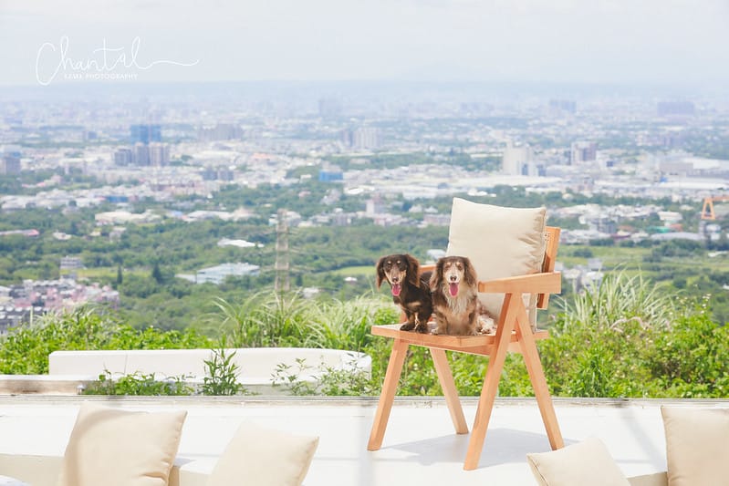 【龍潭/美食】俯覽桃園市景的玻璃餐廳-Summer Land夏夕夏景 - 第20張圖 _J6A9401-2 拷貝