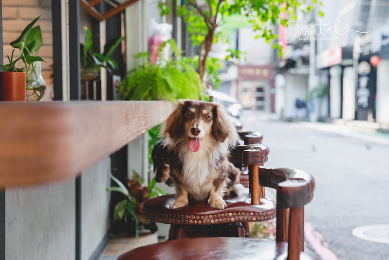 _J6A4009-2拷貝 拷貝