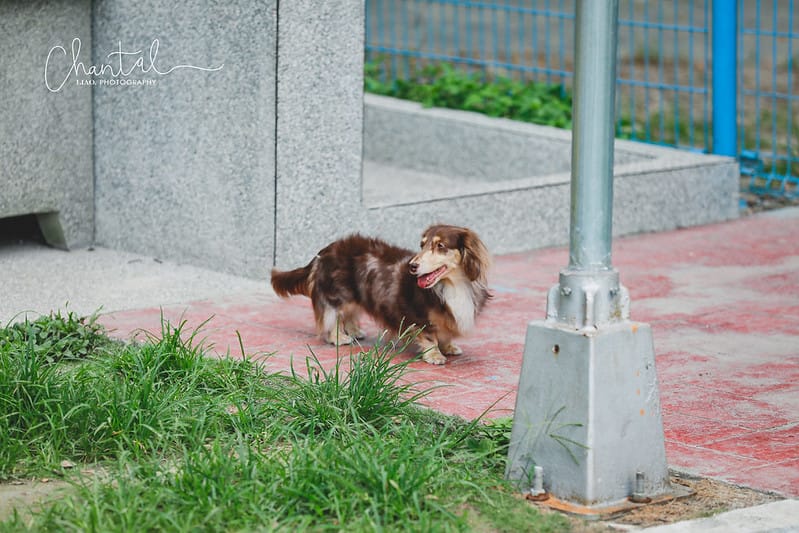 _J6A0390-2 拷貝
