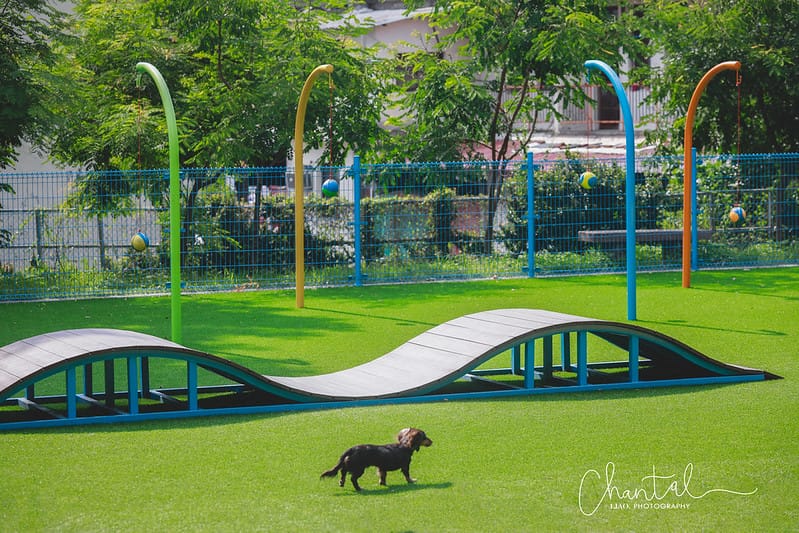 _J6A0336-2 拷貝