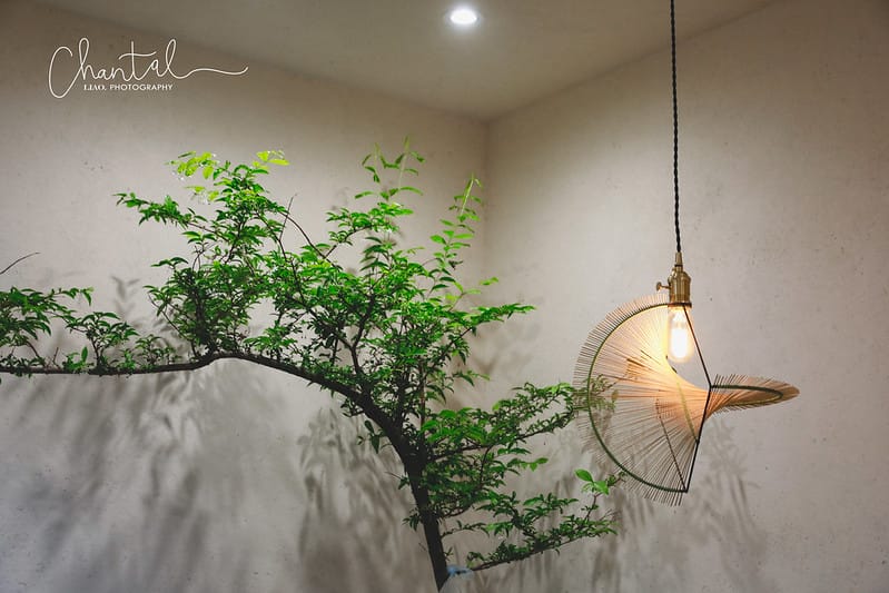 【中山區/雙連站】台北最文青、禪意滿滿的傳統豆花店-榕美樹館 (原榕豆花) - 第5張圖 _J6A4591-2 拷貝