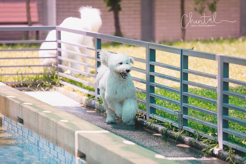 _J6A8249-2 拷貝