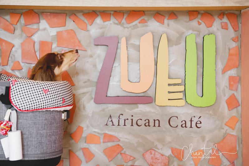 【西區/公益商圈】COTD之結合南非色彩跟日本細膩,充滿異域風情的 ZULU Cafe - 第4張圖 _J6A7819-2 拷貝