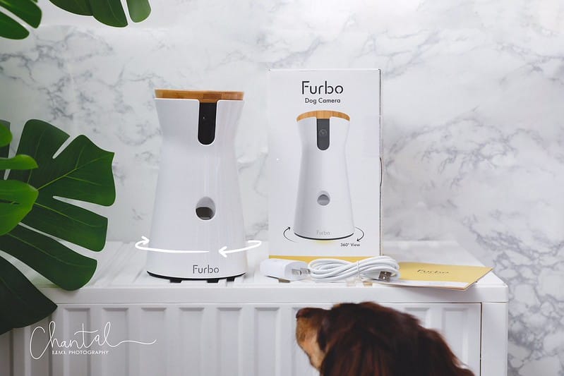 托托開箱Furbo狗狗攝影機-360度版,讓我們永不錯過毛孩的任何一刻 (廠商邀約) - 第8張圖 未命名的作品 8