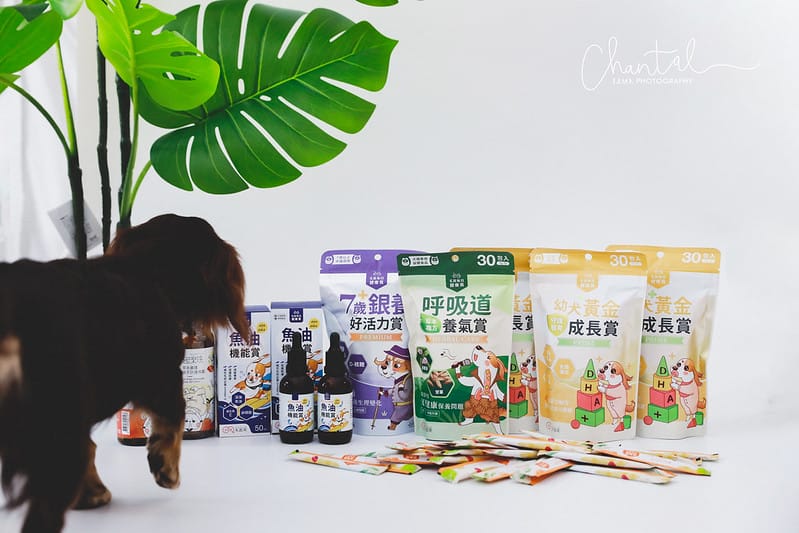 托托開箱托托醬醬的日常保養-毛起來幼犬黃金成長賞、銀養好活力賞、呼吸道養氣賞、魚油 (廠商邀約) - 第3張圖 _J6A3822 拷貝