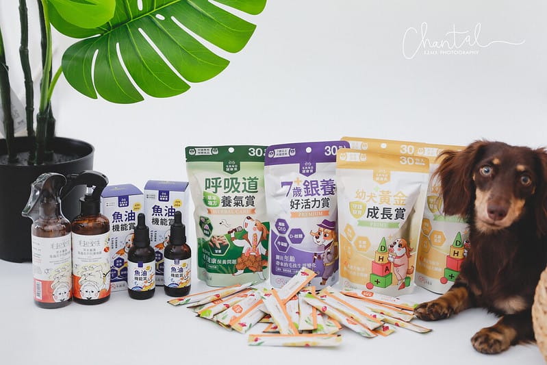 托托開箱托托醬醬的日常保養-毛起來幼犬黃金成長賞、銀養好活力賞、呼吸道養氣賞、魚油 (廠商邀約) - 第2張圖 _J6A3756 拷貝