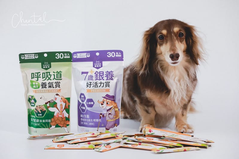 托托開箱托托醬醬的日常保養-毛起來幼犬黃金成長賞、銀養好活力賞、呼吸道養氣賞、魚油 (廠商邀約) - 第9張圖 _J6A2289 拷貝