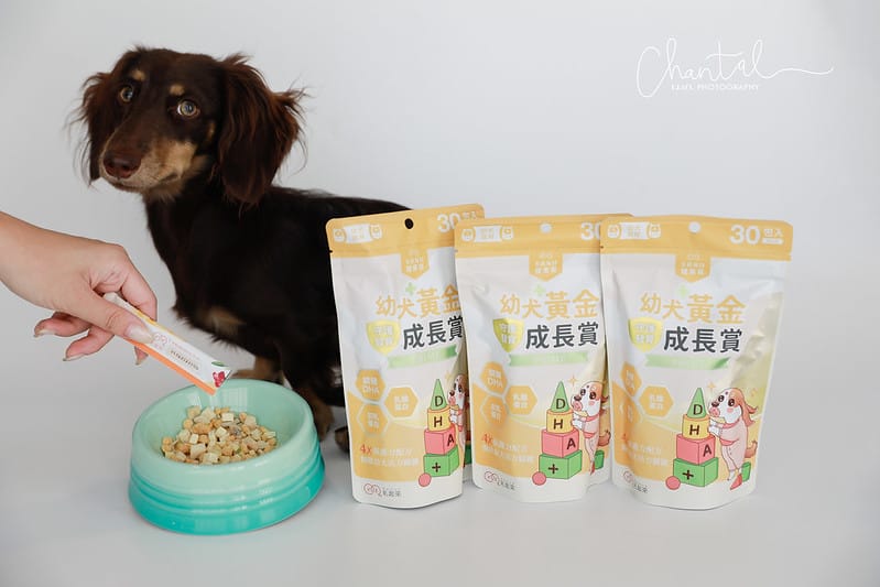 托托開箱托托醬醬的日常保養-毛起來幼犬黃金成長賞、銀養好活力賞、呼吸道養氣賞、魚油 (廠商邀約) - 第4張圖 _J6A6070 拷貝