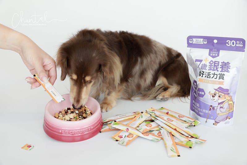 托托開箱托托醬醬的日常保養-毛起來幼犬黃金成長賞、銀養好活力賞、呼吸道養氣賞、魚油 (廠商邀約) - 第10張圖 _J6A6064 拷貝