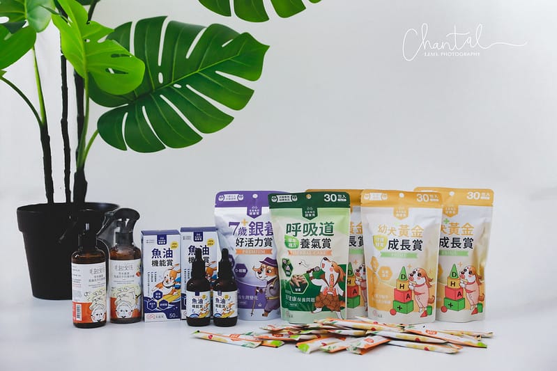 托托開箱托托醬醬的日常保養-毛起來幼犬黃金成長賞、銀養好活力賞、呼吸道養氣賞、魚油 (廠商邀約) - 第18張圖 _J6A3826 拷貝