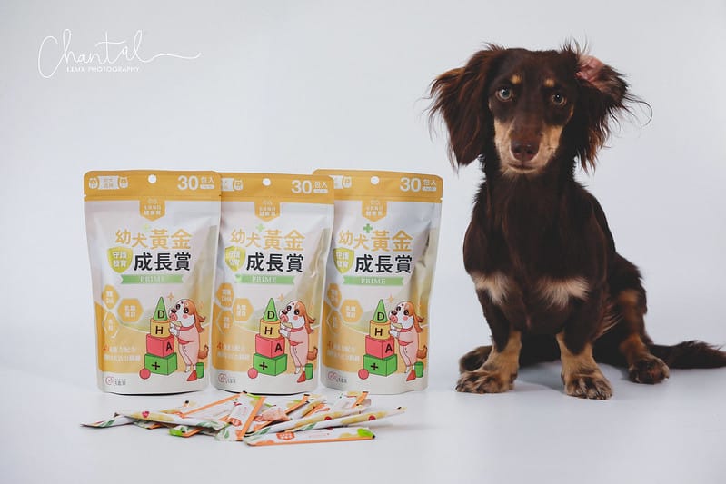 托托開箱托托醬醬的日常保養-毛起來幼犬黃金成長賞、銀養好活力賞、呼吸道養氣賞、魚油 (廠商邀約) - 第7張圖 _J6A2247 拷貝