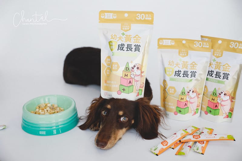 托托開箱托托醬醬的日常保養-毛起來幼犬黃金成長賞、銀養好活力賞、呼吸道養氣賞、魚油 (廠商邀約) - 第5張圖 _J6A6074 拷貝