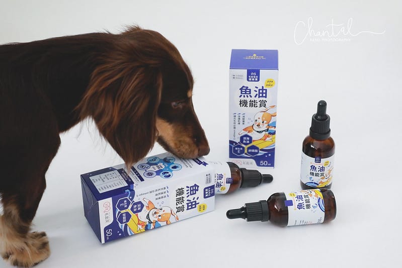 托托開箱托托醬醬的日常保養-毛起來幼犬黃金成長賞、銀養好活力賞、呼吸道養氣賞、魚油 (廠商邀約) - 第13張圖 _J6A3846 拷貝