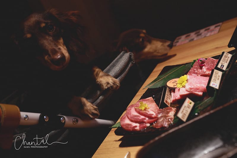 【萬華區/西門站】餐點豐富、環境舒適 燒肉chacha 個人和牛燒肉 - 第50張圖 _J6A1621-2 拷貝