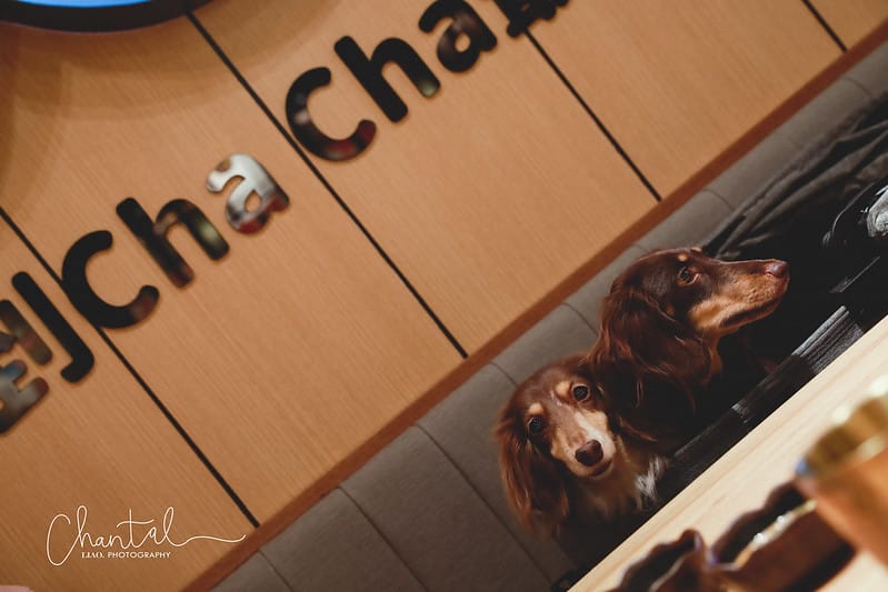 【萬華區/西門站】餐點豐富、環境舒適 燒肉chacha 個人和牛燒肉 - 第48張圖 _J6A1452-2 拷貝