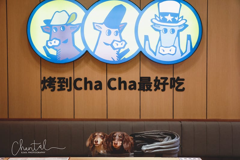 【萬華區/西門站】餐點豐富、環境舒適 燒肉chacha 個人和牛燒肉 - 第47張圖 _J6A1438-2 拷貝 2