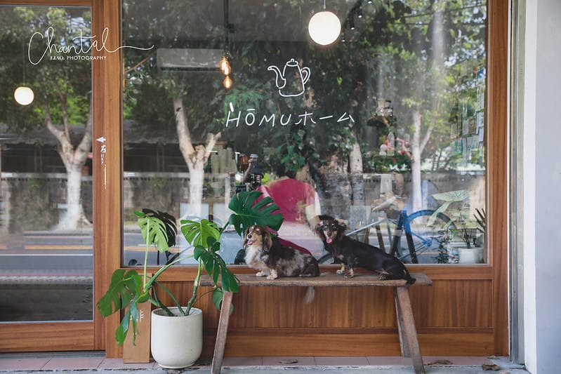 【中興新村/咖啡店】COTD之中興新村旁愜意舒適的小店-禾木咖啡 Hōmu coffee - 第3張圖 _J6A5529-2 拷貝