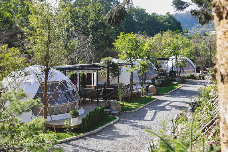 【魚池/住宿】歡迎來到仙境,BALAN HILL GLAMPING峇嵐杉丘 一泊三食豪華露營。上(園區、房間介紹、寵物友善) - 第29張圖 _J6A4557-2 拷貝