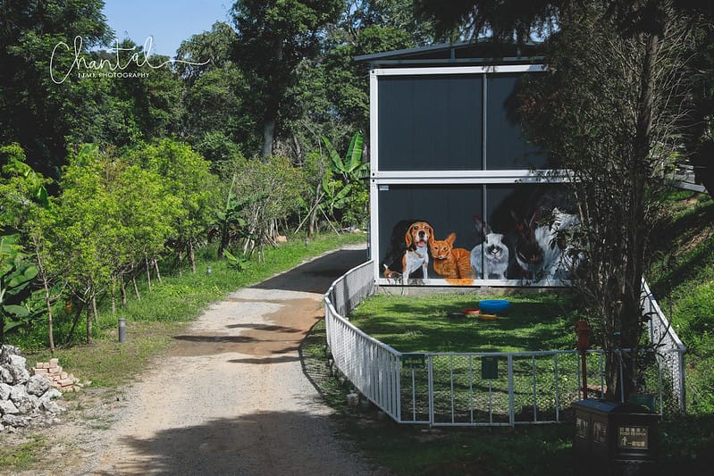【魚池/住宿】歡迎來到仙境,BALAN HILL GLAMPING峇嵐杉丘 一泊三食豪華露營。上(園區、房間介紹、寵物友善) - 第16張圖 _J6A4661-2 拷貝