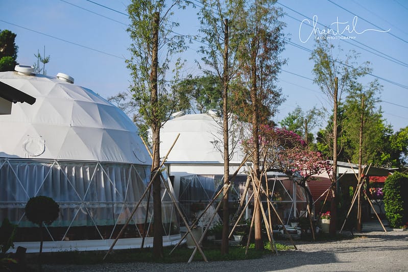 【魚池/住宿】歡迎來到仙境,BALAN HILL GLAMPING峇嵐杉丘 一泊三食豪華露營。上(園區、房間介紹、寵物友善) - 第10張圖 _J6A3785-2 拷貝