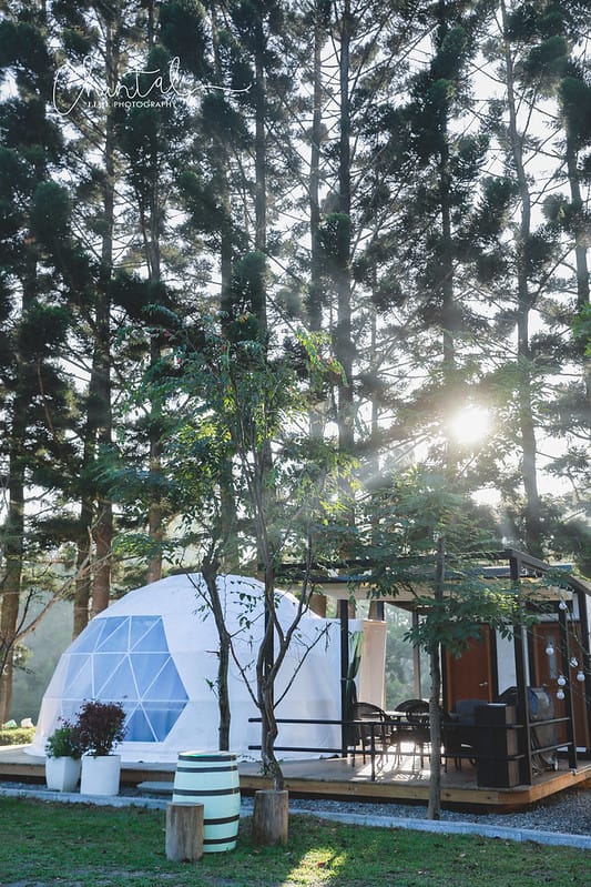 【魚池/住宿】歡迎來到仙境,BALAN HILL GLAMPING峇嵐杉丘 一泊三食豪華露營。上(園區、房間介紹、寵物友善) - 第27張圖 _J6A4440-2 拷貝