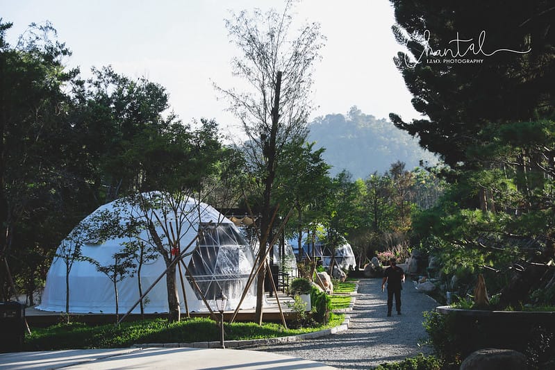 【魚池/住宿】歡迎來到仙境,BALAN HILL GLAMPING峇嵐杉丘 一泊三食豪華露營。上(園區、房間介紹、寵物友善) - 第30張圖 _J6A3837-2 拷貝