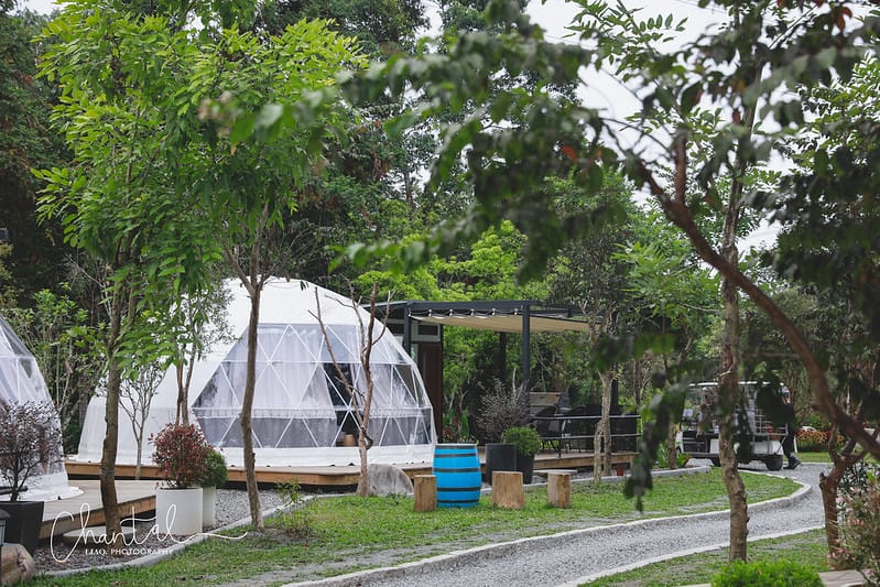 【魚池/住宿】歡迎來到仙境,BALAN HILL GLAMPING峇嵐杉丘 一泊三食豪華露營。上(園區、房間介紹、寵物友善) - 第24張圖 _J6A3588-2 拷貝