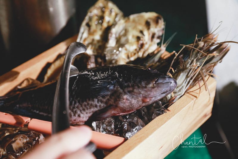 【魚池/住宿】歡迎來到仙境, BALAN HILL GLAMPING峇嵐杉丘 一泊三食豪華露營。下(早餐、晚餐、露營車) - 第18張圖 _J6A4191-2 拷貝