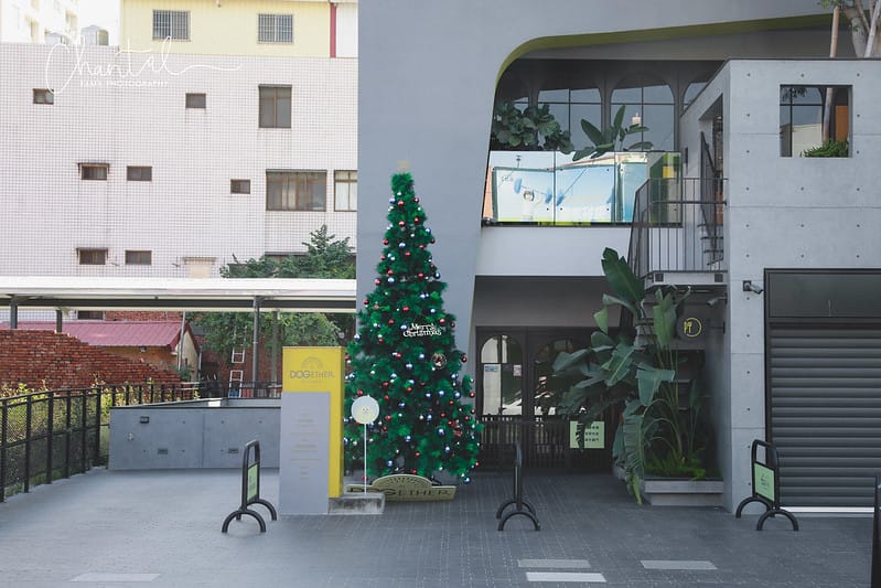 【楠梓/住宿】不只是寵物友善住宿,來到高雄千萬不能錯過的-DOGEHER 多野樂旅館餐廳寵物美容寵物泳池 上篇 (房間、館內設施) - 第3張圖 _J6A6965-2 拷貝
