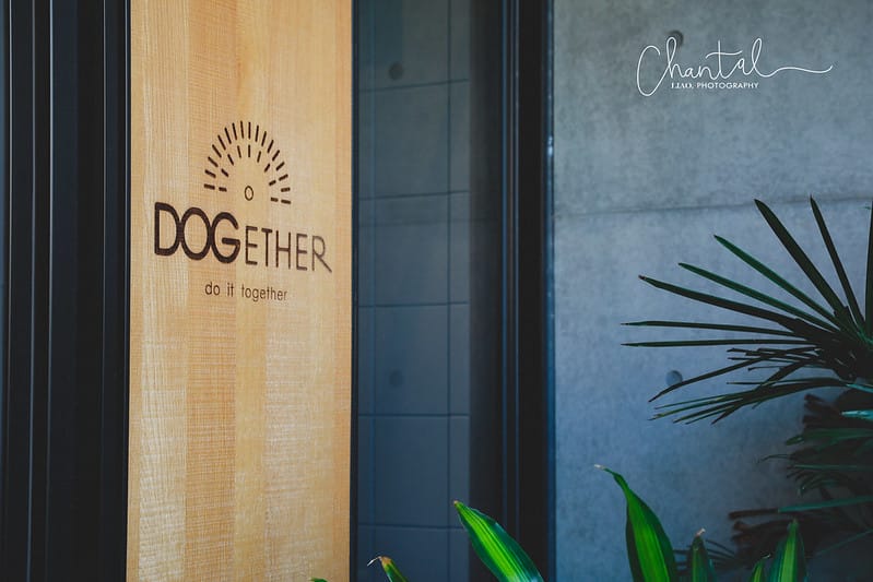 【楠梓/住宿】不只是寵物友善住宿,來到高雄千萬不能錯過的-DOGEHER 多野樂旅館餐廳寵物美容寵物泳池 上篇 (房間、館內設施) - 第68張圖 _J6A5631-2 拷貝
