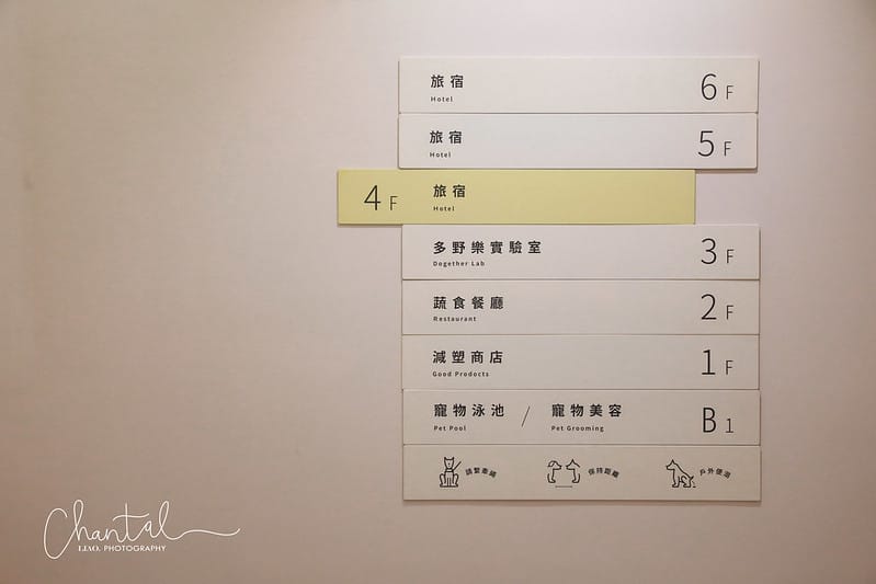 【楠梓/住宿】不只是寵物友善住宿,來到高雄千萬不能錯過的-DOGEHER 多野樂旅館餐廳寵物美容寵物泳池 上篇 (房間、館內設施) - 第23張圖 _J6A5571-2 拷貝