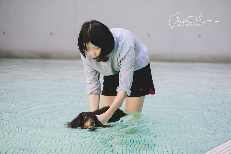 _J6A6659-2 拷貝