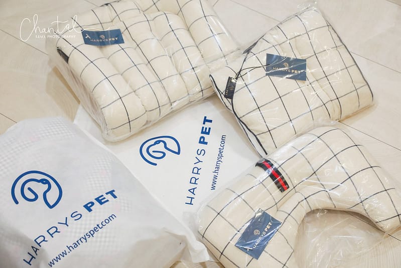_J6A9547-2 拷貝